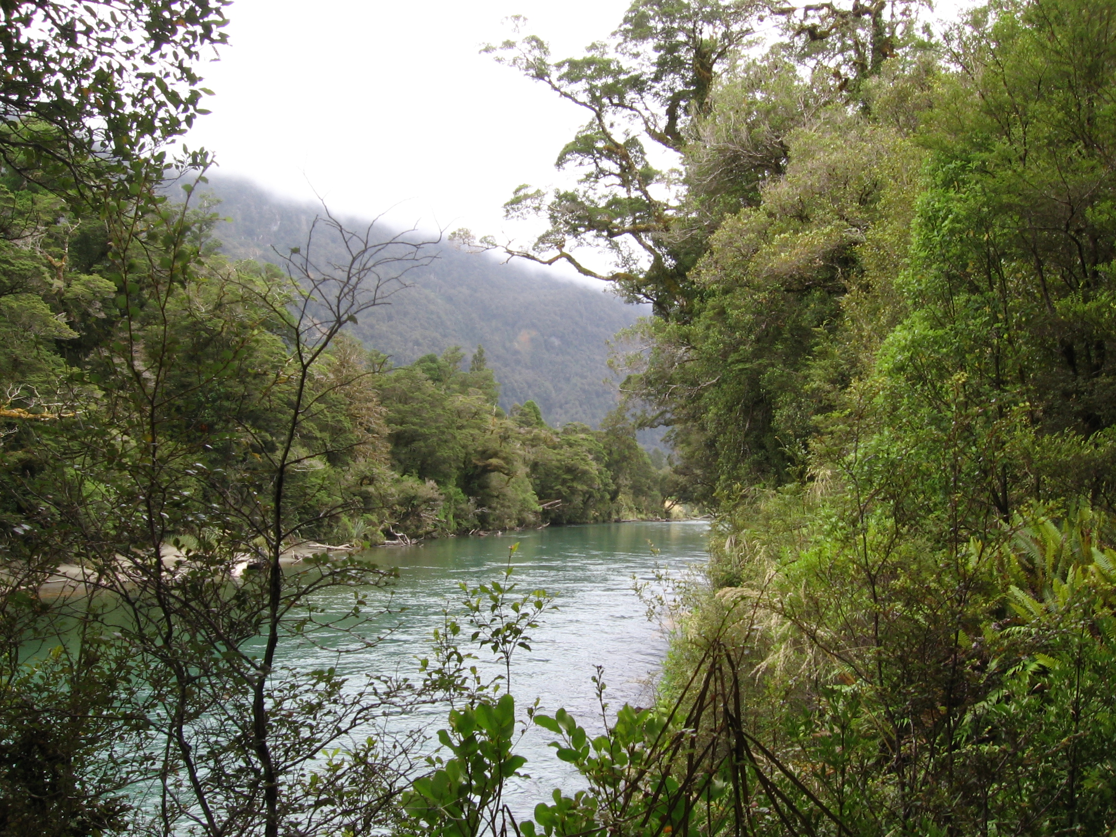 30. Waiau River